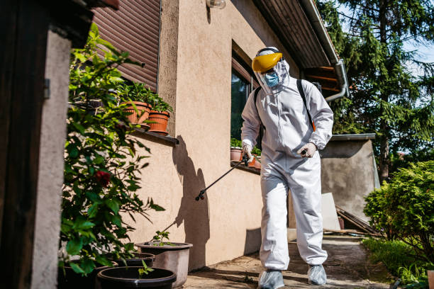 Best Pest Control Near Me in Bexley, OH