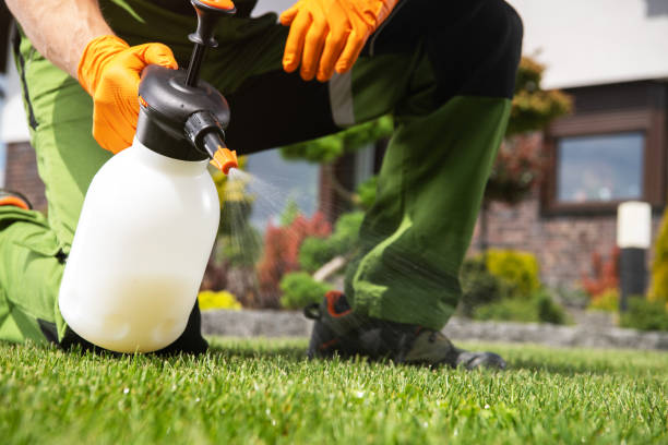 Best Rodent Control Near Me  in Bexley, OH