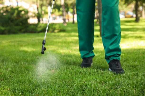 Best Exterminator Services  in Bexley, OH