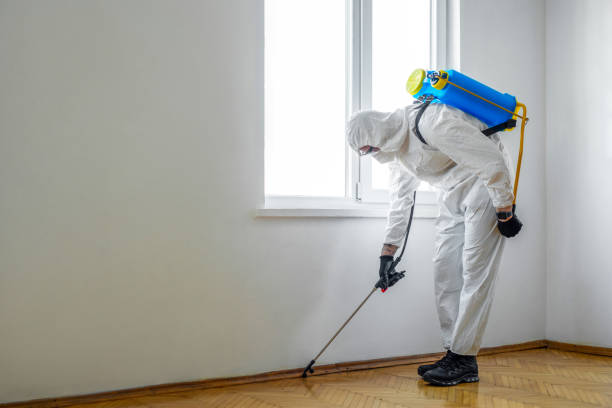 Best Pest Control Near Me  in Bexley, OH