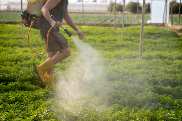 Reliable Bexley, OH Pest Control Solutions
