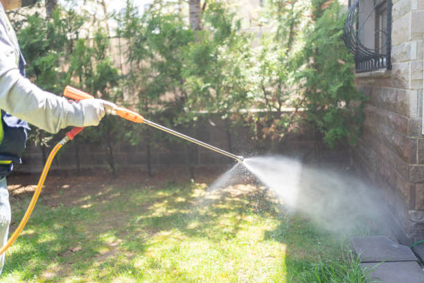 Best Best Pest Control Companies  in Bexley, OH