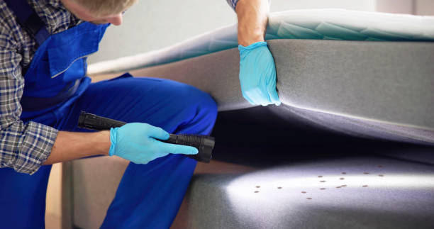 Wasp Removal Services in Bexley, OH