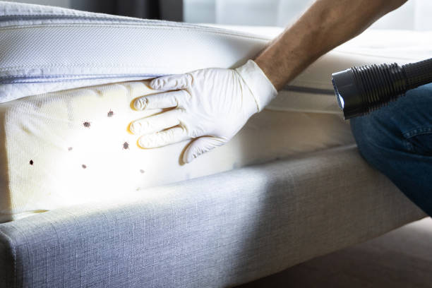Best Pest Inspection Near Me  in Bexley, OH