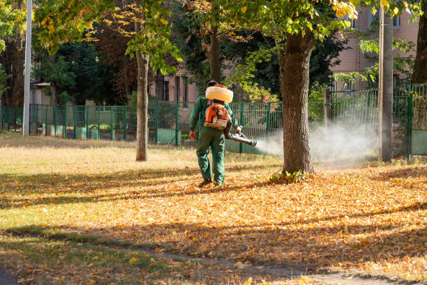 Best Emergency Pest Control  in Bexley, OH